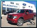 Ford
F-150 FX4
2013